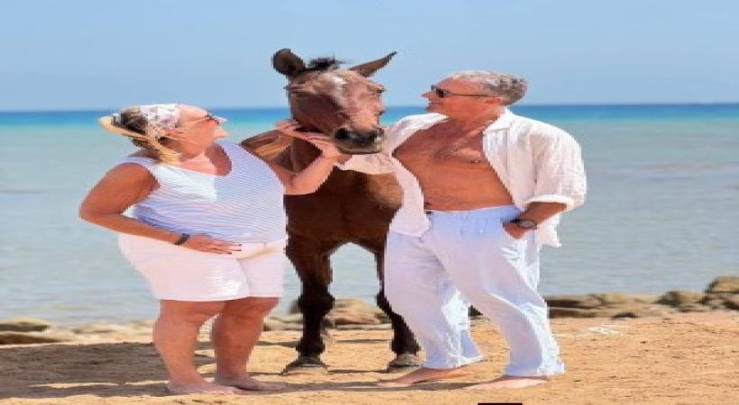 Horse Riding