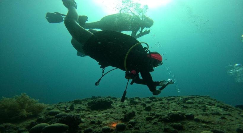 Diving